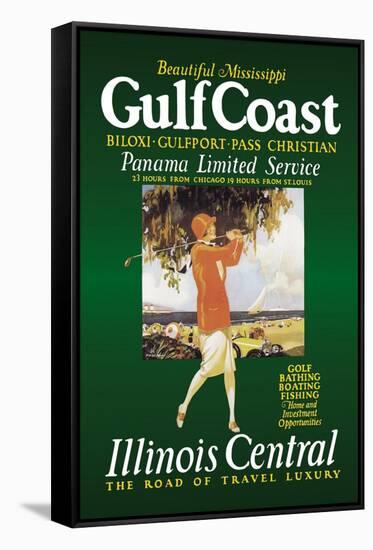 Gulf Coast-Paul Proehl-Framed Stretched Canvas