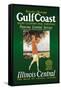 Gulf Coast-Paul Proehl-Framed Stretched Canvas