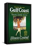 Gulf Coast-Paul Proehl-Framed Stretched Canvas