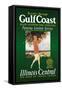 Gulf Coast-Paul Proehl-Framed Stretched Canvas