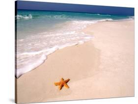 Gulf Island National Seashore, Santa Rosa Island, Florida-Maresa Pryor-Stretched Canvas