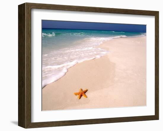 Gulf Island National Seashore, Santa Rosa Island, Florida-Maresa Pryor-Framed Premium Photographic Print