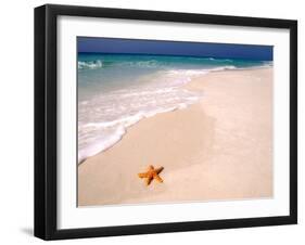 Gulf Island National Seashore, Santa Rosa Island, Florida-Maresa Pryor-Framed Premium Photographic Print