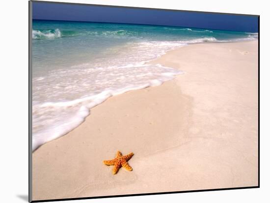 Gulf Island National Seashore, Santa Rosa Island, Florida-Maresa Pryor-Mounted Premium Photographic Print