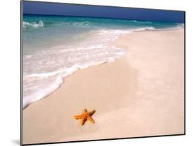 Gulf Island National Seashore, Santa Rosa Island, Florida-Maresa Pryor-Mounted Premium Photographic Print