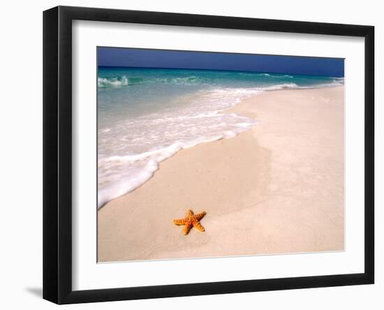 Gulf Island National Seashore, Santa Rosa Island, Florida-Maresa Pryor-Framed Photographic Print