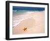 Gulf Island National Seashore, Santa Rosa Island, Florida-Maresa Pryor-Framed Photographic Print