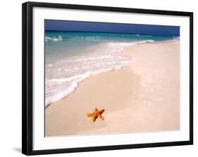 Gulf Island National Seashore, Santa Rosa Island, Florida-Maresa Pryor-Framed Photographic Print