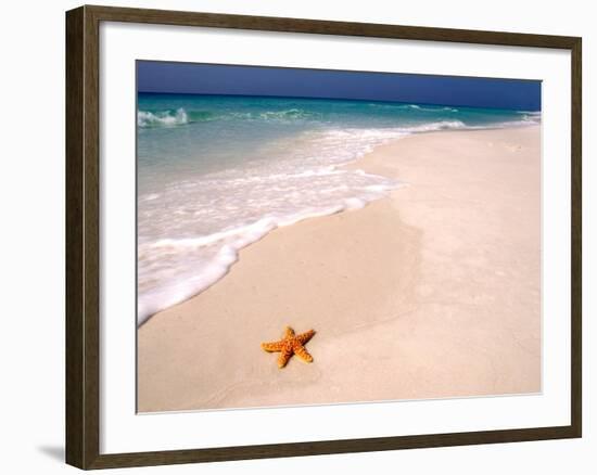 Gulf Island National Seashore, Santa Rosa Island, Florida-Maresa Pryor-Framed Photographic Print