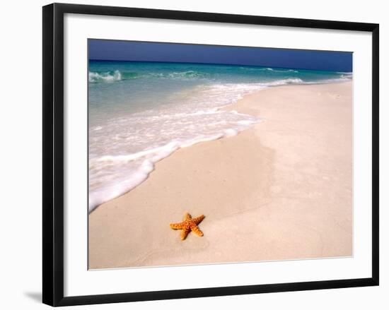 Gulf Island National Seashore, Santa Rosa Island, Florida-Maresa Pryor-Framed Photographic Print