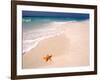 Gulf Island National Seashore, Santa Rosa Island, Florida-Maresa Pryor-Framed Photographic Print