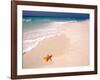 Gulf Island National Seashore, Santa Rosa Island, Florida-Maresa Pryor-Framed Photographic Print