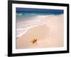 Gulf Island National Seashore, Santa Rosa Island, Florida-Maresa Pryor-Framed Photographic Print