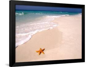 Gulf Island National Seashore, Santa Rosa Island, Florida-Maresa Pryor-Framed Photographic Print