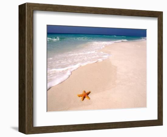 Gulf Island National Seashore, Santa Rosa Island, Florida-Maresa Pryor-Framed Photographic Print