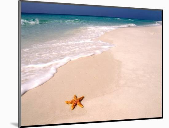 Gulf Island National Seashore, Santa Rosa Island, Florida-Maresa Pryor-Mounted Photographic Print