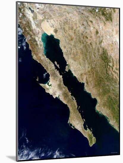 Gulf of California-Stocktrek Images-Mounted Photographic Print