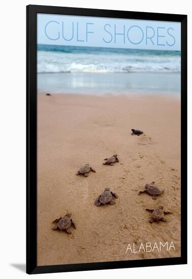 Gulf Shores, Alabama - Sea Turtles Hatching-Lantern Press-Framed Art Print