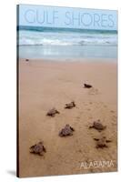 Gulf Shores, Alabama - Sea Turtles Hatching-Lantern Press-Stretched Canvas