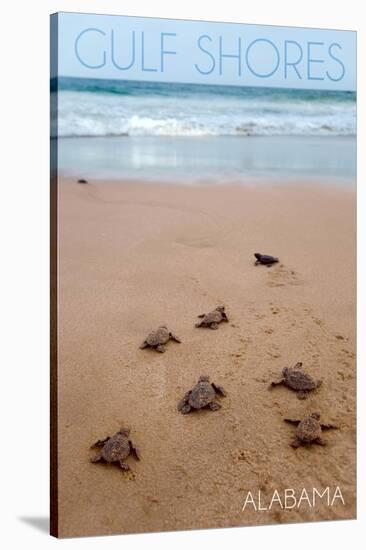 Gulf Shores, Alabama - Sea Turtles Hatching-Lantern Press-Stretched Canvas