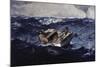 Gulf Stream-Winslow Homer-Mounted Giclee Print