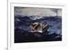 Gulf Stream-Winslow Homer-Framed Giclee Print