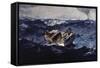 Gulf Stream-Winslow Homer-Framed Stretched Canvas