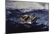 Gulf Stream-Winslow Homer-Mounted Premium Giclee Print