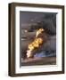 Gulf War 1991 Kuwait Burning Oil Field-Greg Gibson-Framed Photographic Print