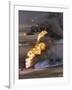 Gulf War 1991 Kuwait Burning Oil Field-Greg Gibson-Framed Photographic Print