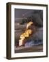 Gulf War 1991 Kuwait Burning Oil Field-Greg Gibson-Framed Photographic Print