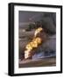 Gulf War 1991 Kuwait Burning Oil Field-Greg Gibson-Framed Photographic Print