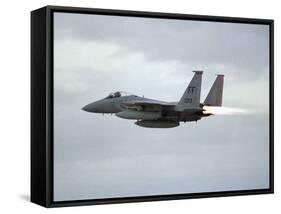 Gulf War 1991 USA Air Force Planes F15 Fighter-Bob Daugherty-Framed Stretched Canvas