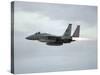 Gulf War 1991 USA Air Force Planes F15 Fighter-Bob Daugherty-Stretched Canvas