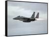 Gulf War 1991 USA Air Force Planes F15 Fighter-Bob Daugherty-Framed Stretched Canvas