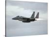 Gulf War 1991 USA Air Force Planes F15 Fighter-Bob Daugherty-Stretched Canvas