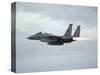 Gulf War 1991 USA Air Force Planes F15 Fighter-Bob Daugherty-Stretched Canvas