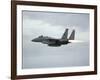 Gulf War 1991 USA Air Force Planes F15 Fighter-Bob Daugherty-Framed Photographic Print