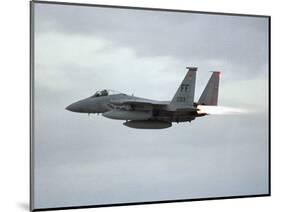 Gulf War 1991 USA Air Force Planes F15 Fighter-Bob Daugherty-Mounted Photographic Print