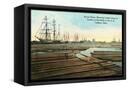 Canvas Black