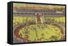 Gulfstream Race Track, Florida-null-Framed Stretched Canvas