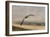 Gull at the Shore-Jai Johnson-Framed Giclee Print