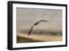 Gull at the Shore-Jai Johnson-Framed Giclee Print