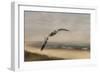 Gull at the Shore-Jai Johnson-Framed Giclee Print