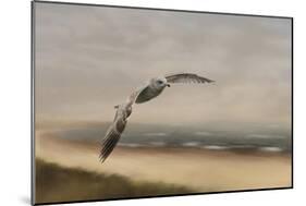 Gull at the Shore-Jai Johnson-Mounted Giclee Print