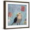 Gull Beach I-Rick Novak-Framed Art Print