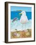 Gull Envy-Kathy Kehoe Bambeck-Framed Giclee Print