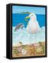 Gull Envy-Kathy Kehoe Bambeck-Framed Stretched Canvas