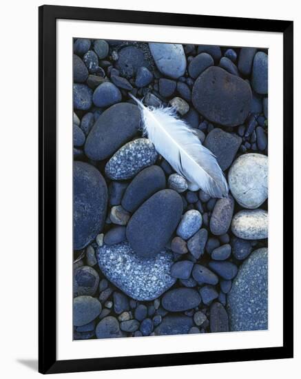 Gull Feather and Stones, Snake River, Hells Canyon,Washington, USA-Charles Gurche-Framed Photographic Print
