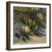 Gull Island-Michael Budden-Framed Giclee Print